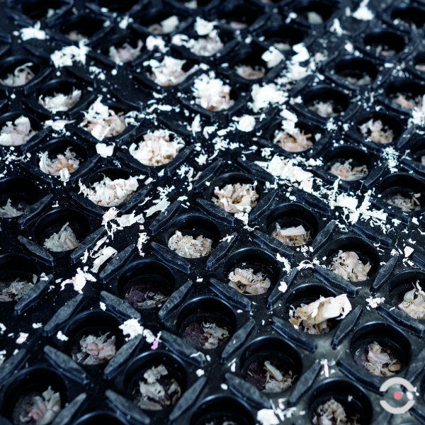 Mata ergonomiczna Notrax, 549 Safety Stance, guma nitrylowa, modułowa, 90 cm x 150 cm, obszar mokry/zaolejony, czarny