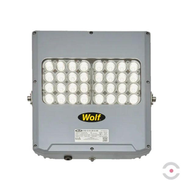 Lampa ścienno-sufitowa EX ATEX WOLF LFX2S-24-60, zasilanie 230 V, 24*LED, kąt  102°