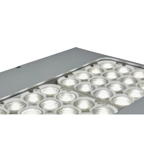 Lampa ścienno- sufitowa Ex ATEX WOLF LFX2S-24-50, zasilanie 230 V, 24*LED, kąt 102°